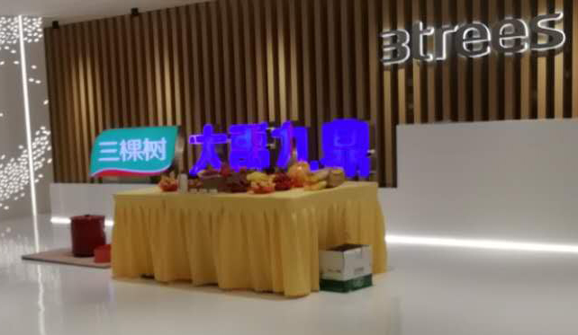 三棵樹弱電工程